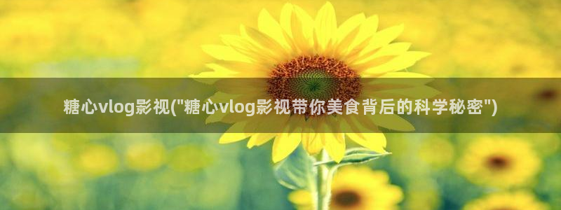 糖心出品vlog 网红:糖心vlog影视