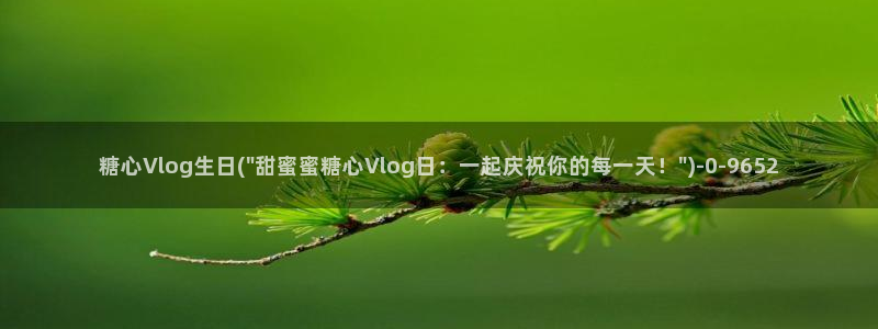 糖心vlog女友卡:糖心Vlog生日(\